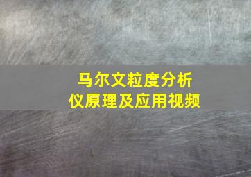 马尔文粒度分析仪原理及应用视频