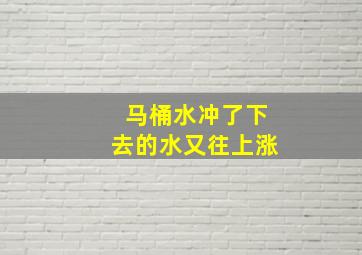 马桶水冲了下去的水又往上涨