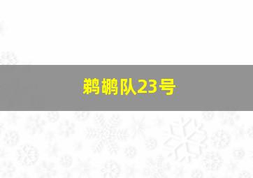 鹈鹕队23号