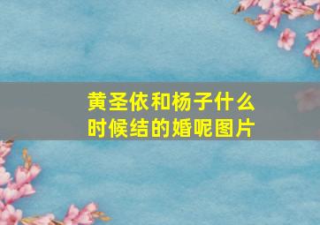 黄圣依和杨子什么时候结的婚呢图片