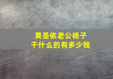 黄圣依老公杨子干什么的有多少钱