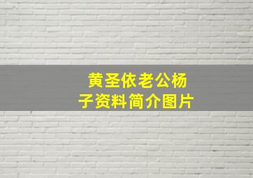 黄圣依老公杨子资料简介图片