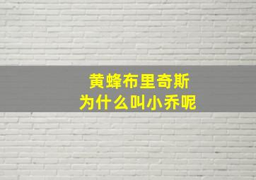 黄蜂布里奇斯为什么叫小乔呢