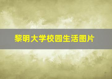 黎明大学校园生活图片